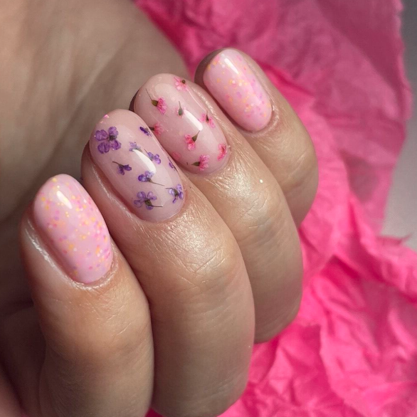 MollyLac Lila getrocknete Nagelblumen